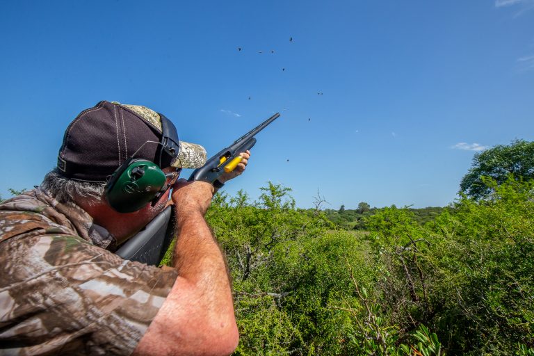 Dove Hunting in Tucuman_17