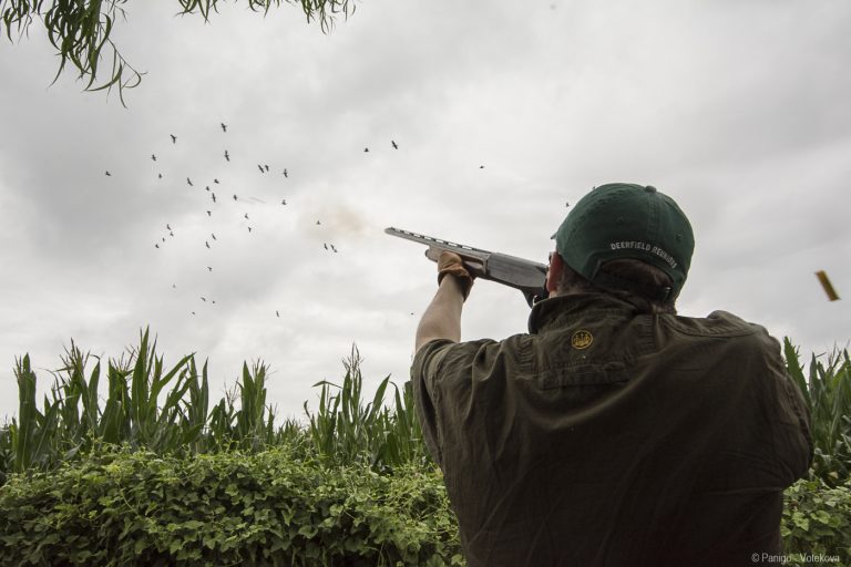 Dove Hunting in Tucuman_3